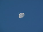 SX09733 Blue three quarter moon.jpg